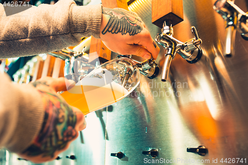 Image of Hand of bartender pouring a large lager beer in tap.