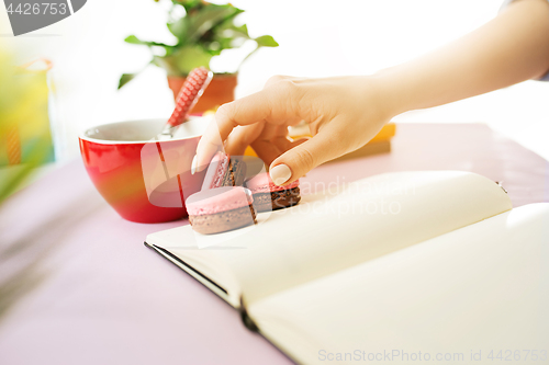 Image of The female hands holding french macarons on trendy pink desk.