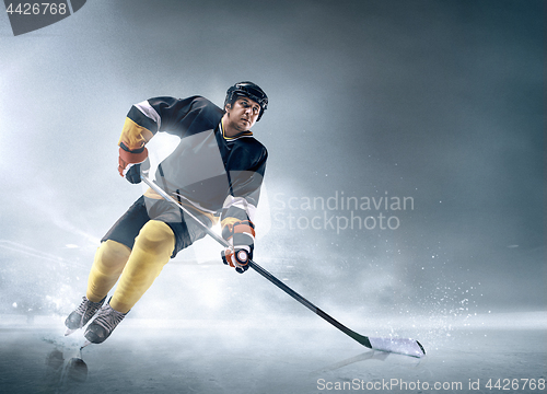 Image of Ice hockey player in action.
