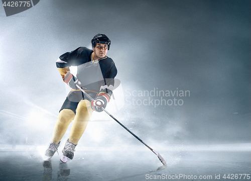 Image of Ice hockey player in action.