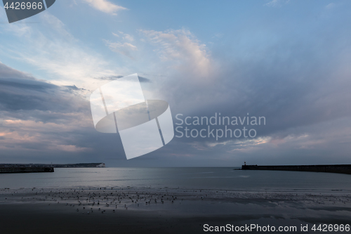 Image of Seaford Head and Newhaven Lighthouse