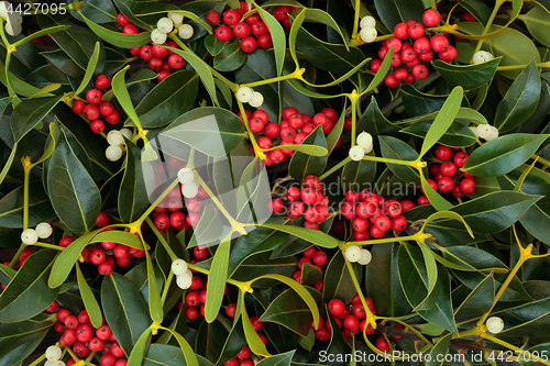 Image of Winter Berry Holly and Mistletoe