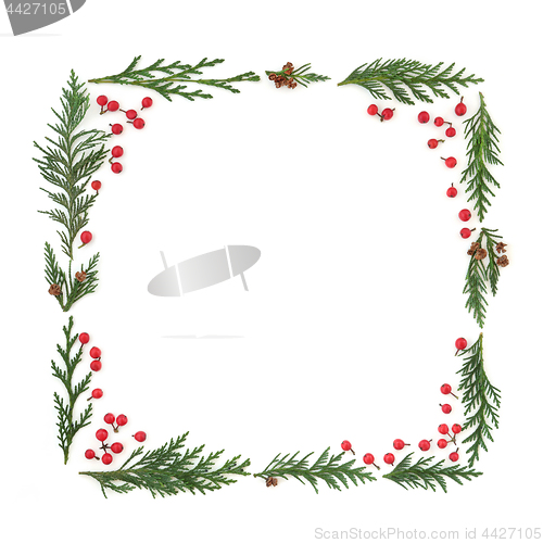 Image of Cedar Cypress and Holly Berry Frame
