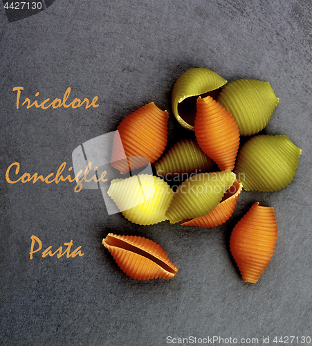 Image of Tricolore Conchiglie Pasta