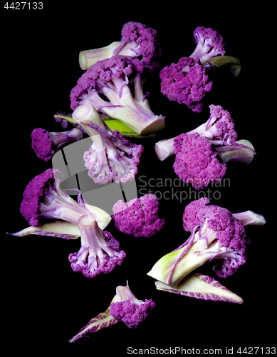 Image of Fresh Purple Cauliflower