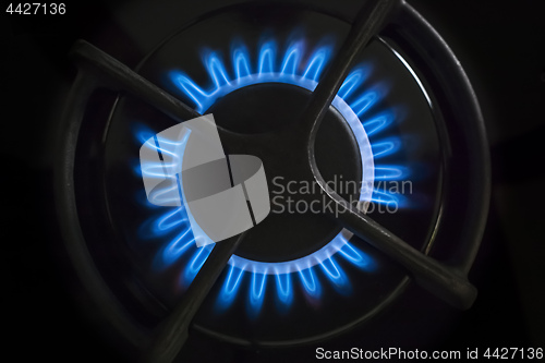 Image of gas stove flame