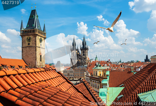 Image of Birds over Old Town Square