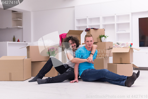 Image of young  gay couple moving  in new house