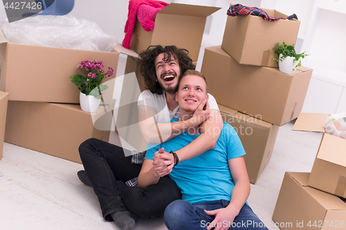 Image of young  gay couple moving  in new house