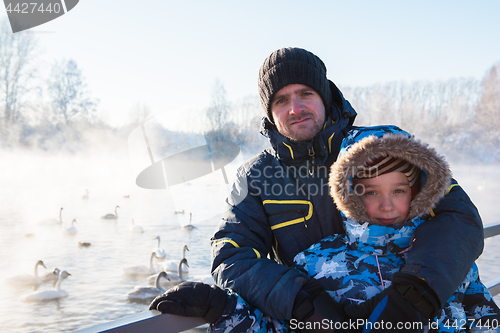 Image of Beautiful white whooping swans