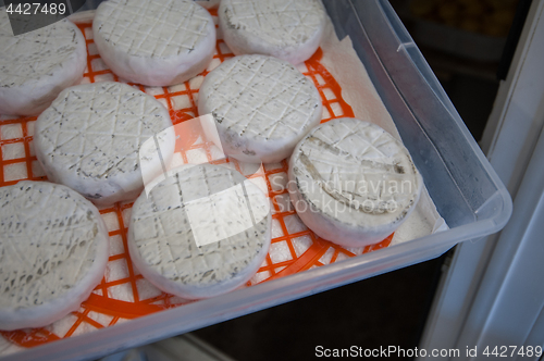 Image of aging cheese heads