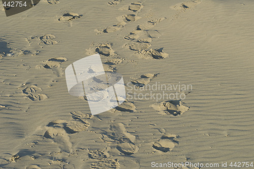 Image of footsteps