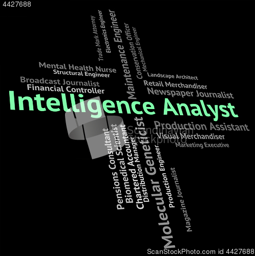 Image of Intelligence Analyst Shows Intellectual Capacity And Ability