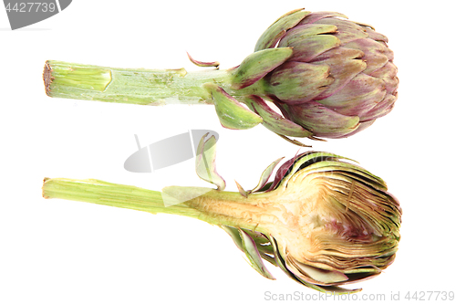 Image of fresh artichoke isolated