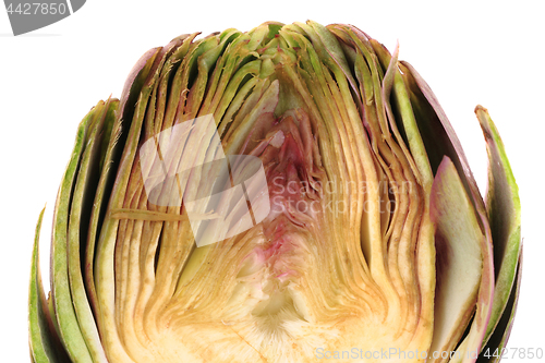 Image of fresh artichoke texture