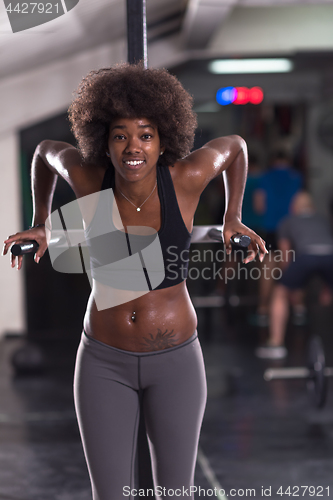 Image of black woman doing parallel bars Exercise