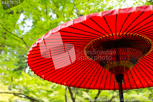 Image of Japanese red umbrella