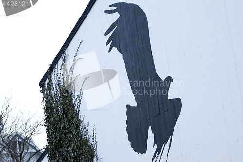 Image of Eagle on the Wall