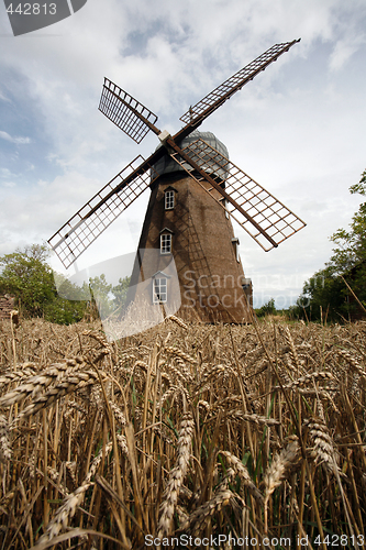 Image of Öland, Sweden