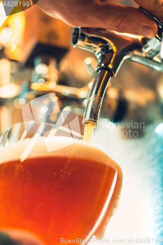 Image of Beer taps in a pub