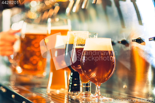 Image of Beer taps in a pub