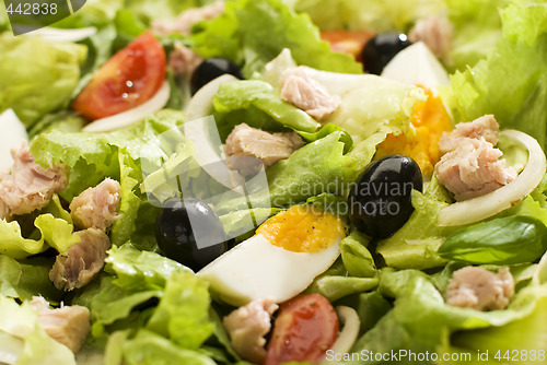 Image of salad