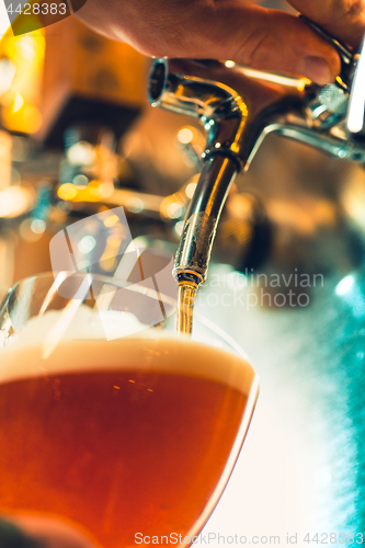 Image of Beer taps in a pub