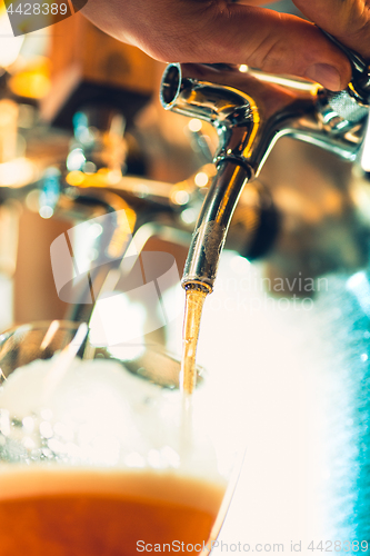 Image of Beer taps in a pub