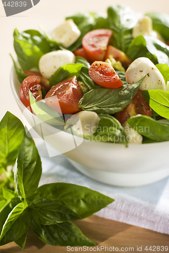 Image of salad