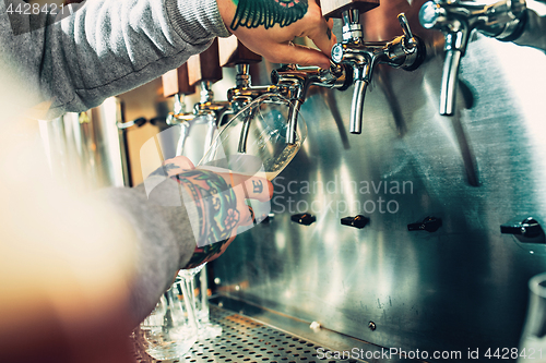 Image of Hand of bartender pouring a large lager beer in tap.