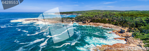 Image of Panoramic Views of Wasp Head