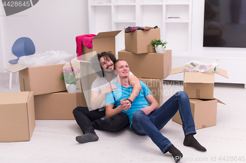 Image of young  gay couple moving  in new house