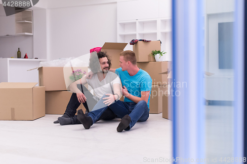 Image of young  gay couple moving  in new house