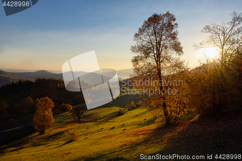 Image of Colorful autumn landscape in mountain 