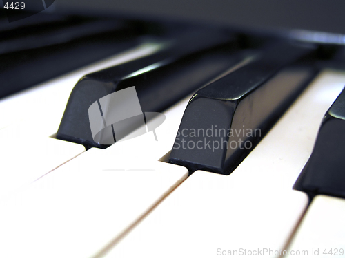 Image of Piano Keys