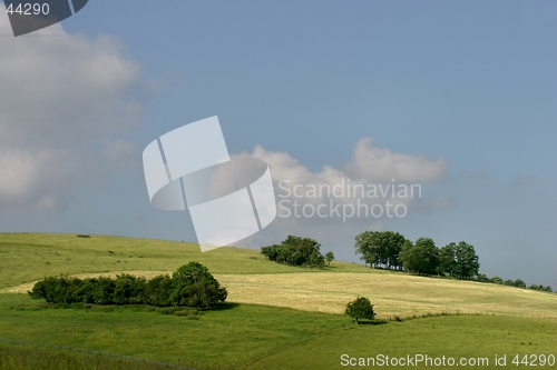 Image of trees in France landscape