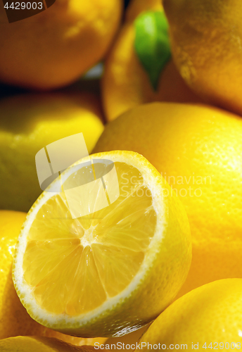 Image of Still life with fresh yellow lemons