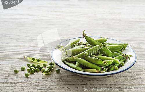 Image of Pea