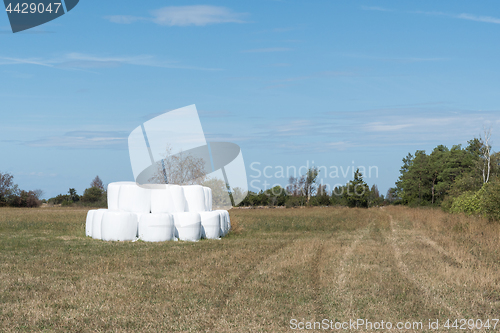 Image of Stacked hay bales