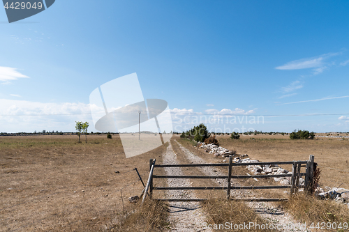 Image of Old gate by a country road