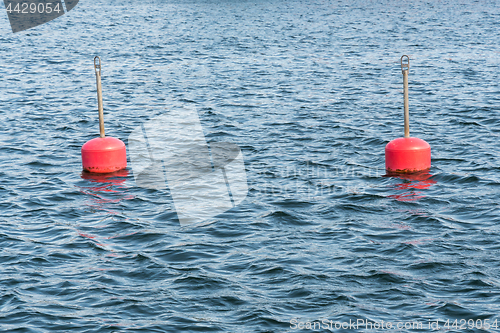 Image of Red anchor buoys in water