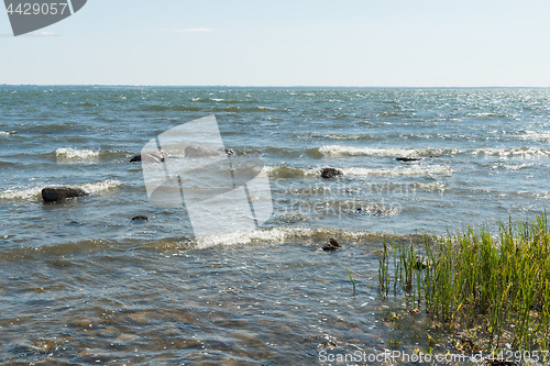 Image of Shimmering coast in summer season