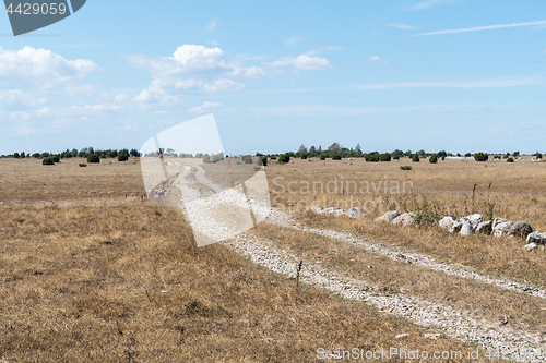 Image of Dirt road through a dry grassland