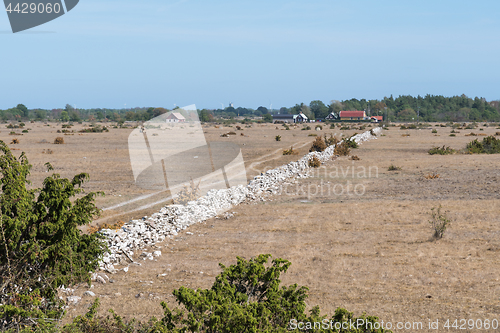 Image of Dried grassland by summer season