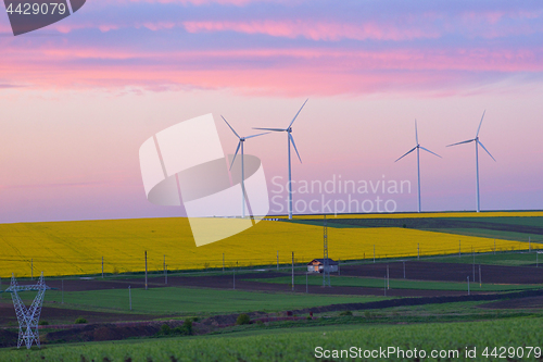 Image of Eolian field and wind turbines 