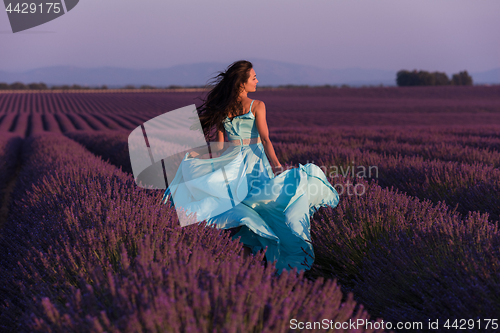 Image of woman in lavender flower field