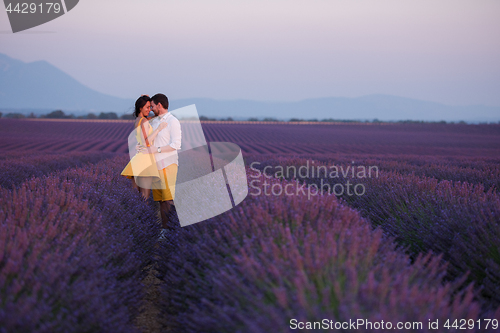 Image of couple in lavender field