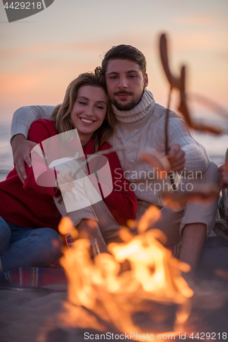 Image of Group Of Young Friends Sitting By The Fire at beach