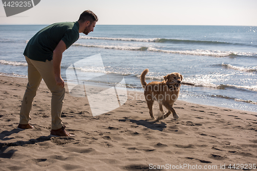 Image of man with dog enjoying free time on the beach