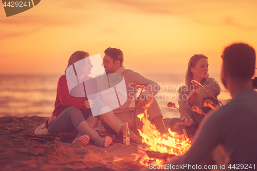 Image of Group Of Young Friends Sitting By The Fire at beach